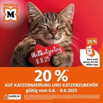 Weltkatzentag 2025 Centerscreen 1080x1080px AT