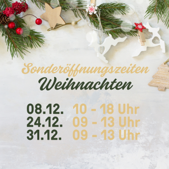 Kopie von Weihnachtsöffnungszeiten A3  (420 x 297 mm)